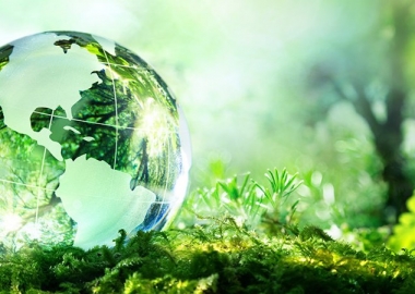 Hotgirl tràn ngập fanzone xem trận khai mạc Euro 2020