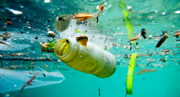 ĐỊNH HƯỚNG PHÁT TRIỂN